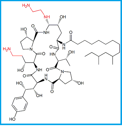CASPOFUNGIN (BASE)